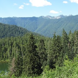 Above Elk Lake