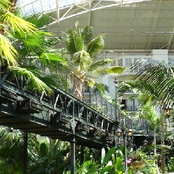 Opryland Garden Conservatory Skywalk
