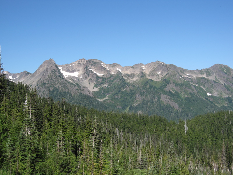 Western Ridge from Glacier Meadows