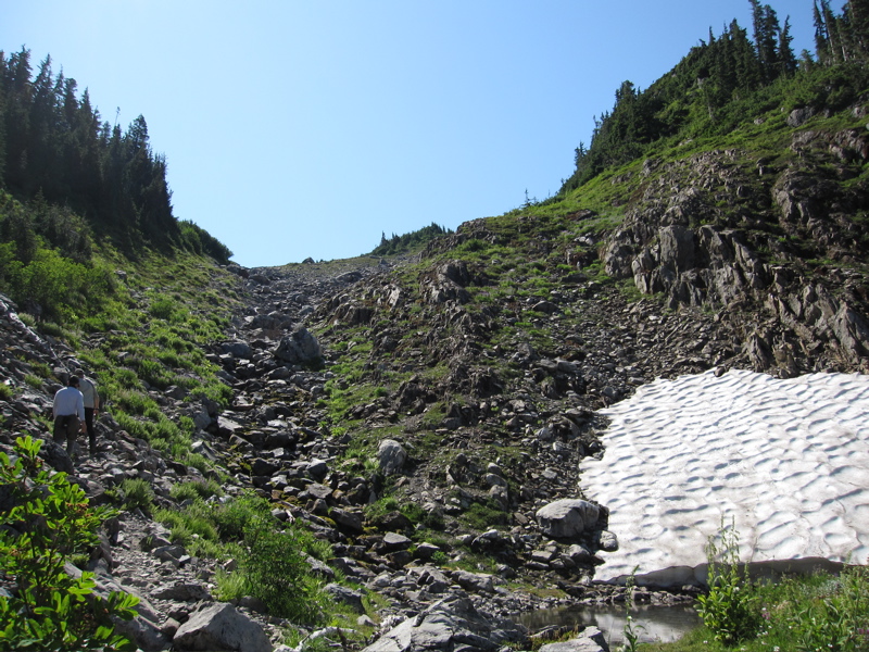 Glacier Meadows