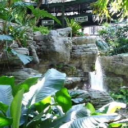 Opryland Garden Conservatory Waterfall