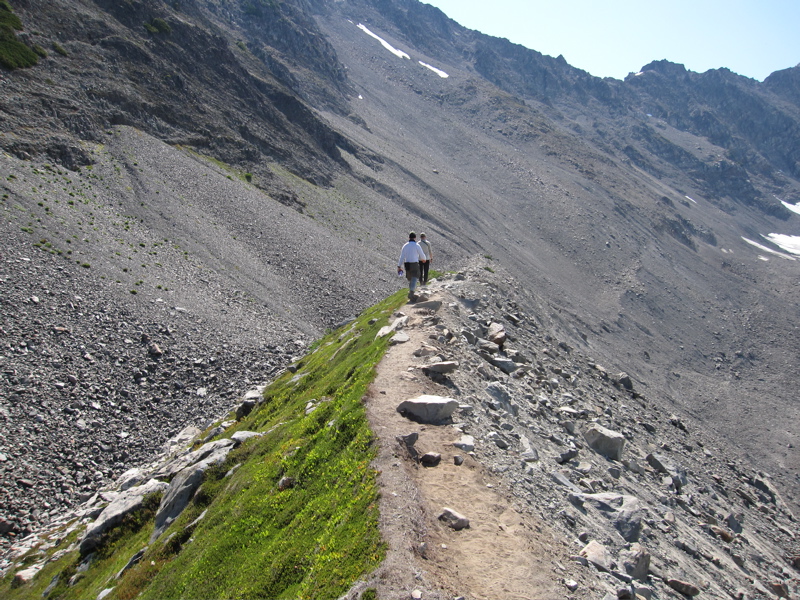 Blue Glacier Lateral Moraine