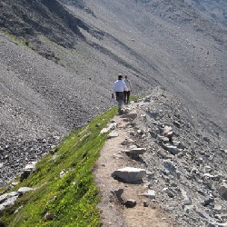 Blue Glacier Lateral Moraine