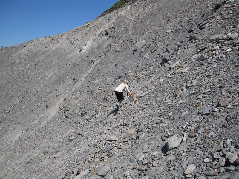 Trail from Blue Glacier to Lateral Moraine Ridge