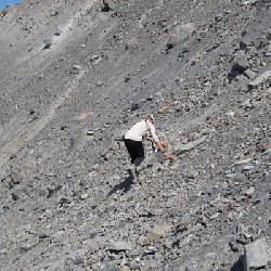 Trail from Blue Glacier to Lateral Moraine Ridge