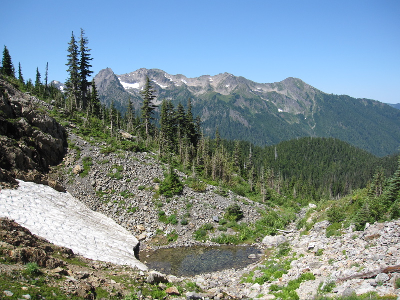 Glacier Meadows