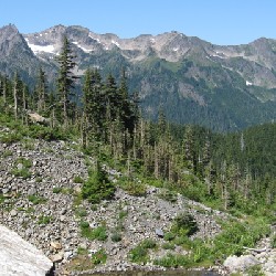 Glacier Meadows