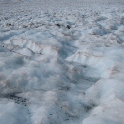 Blue Glacier Climbers