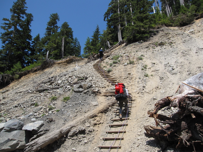 Rock Slide Ladder