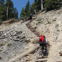 Rock Slide Ladder