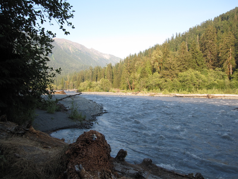 Lewis Meadow Camping