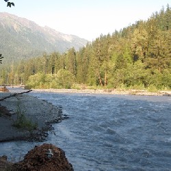 Lewis Meadow Camping