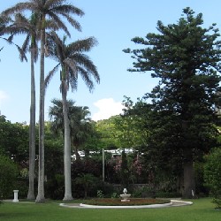 Somers Garden