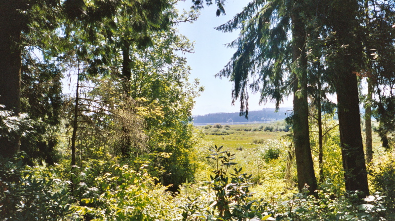 Mt. St. Helens