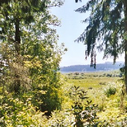 Mt. St. Helens