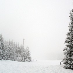 Looking up the Low Road