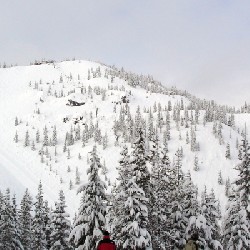 Upper Bowl of Meadows